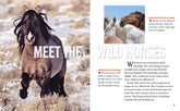 Face to Face with Wild Horses: Level 6 (National Geographic Readers) - The English Bookshop Kuwait